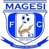 Magesi logo small