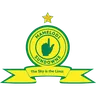 Mamelodi Sundowns logo small
