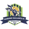 Marumo Gallants logo small