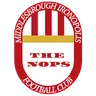 Middlesbrough Ironopolis FC logo small