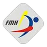 Moldova Handball logo