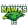 Mt Gravatt Hawks FC logo small