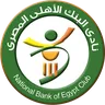 National Bank of Egypt logo small
