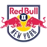 New York Red Bulls II logo small