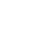 New Zealand U17 logo small