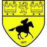 Newmarket Town logo small