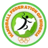 Nigeria Handball logo