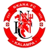Nkana logo small