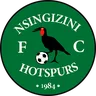 Nsingizini Hotspurs logo small