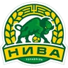 Nyva Ternopil logo small