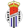 Peña Sport logo small