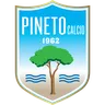 Pineto logo small