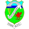 Pontardawe Town logo small
