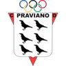 Praviano logo small
