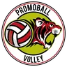 Promoball Volleyball Flero Women logo
