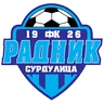 Radnik Surdulica logo small