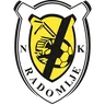 Radomlje logo small