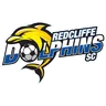Redcliffe Dolphins logo small