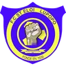 Saint-Éloi Lupopo logo small
