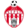 Sepsi OSK Sfântu Gheorghe logo small