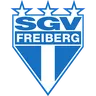 SGV Freiberg logo small