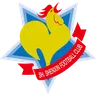 Shanghai Shenxin logo small