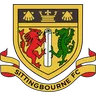 Sittingbourne logo small