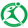 SPR Bór Oborniki Śląskie logo