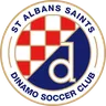 St Albans Saints logo small