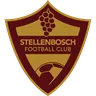 Stellenbosch logo small