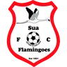 Sua Flamingoes logo small
