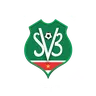 Suriname logo