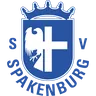 SV Spakenburg logo small