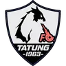 Tatung FC logo small