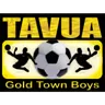 Tavua logo small