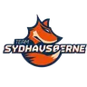 Team Sydhavsøerne logo