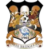 Three Bridges logo small