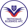 Trethomas Bluebirds logo small