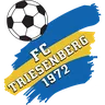 Triesenberg II logo small