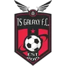 TS Galaxy logo small