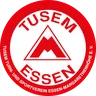 TUSEM Essen logo