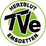 TV Emsdetten logo