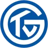 TV Grosswallstadt logo