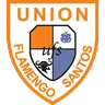 Union Flamengo Santos logo small