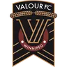 Valour logo small