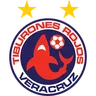 Veracruz logo small