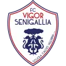 Vigor Senigallia logo small
