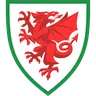Wales U17 logo small