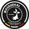 Wasquehal logo small