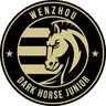 Wenzhou FC logo small